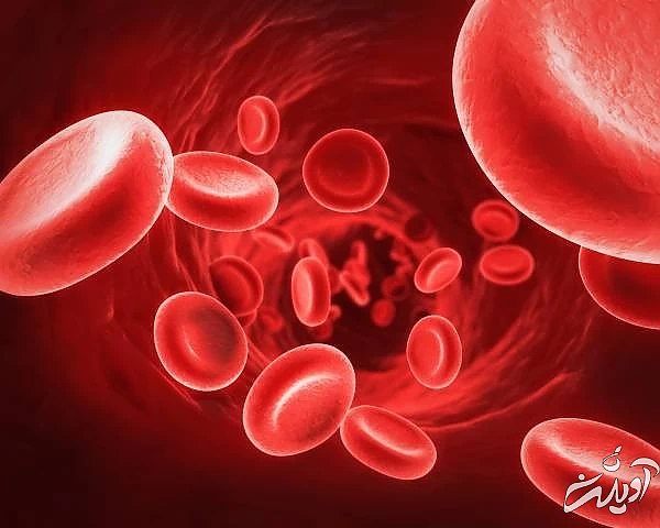 ایا اهدای خون باعث کم خونی می شود کم خونی بعد از اهدای خون